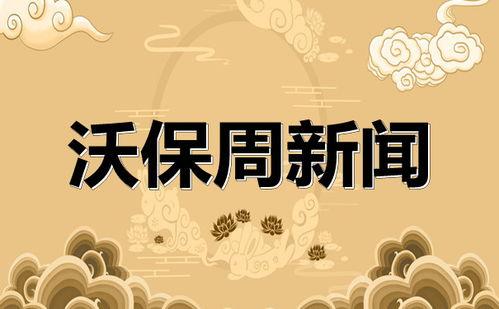 保险新闻最新爆料大全,揭秘行业动态与热点事件