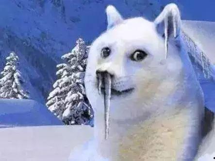 胖猫知情人爆料抖音视频,胖猫知情人爆料幕后真相 第3张 胖猫知情人爆料抖音视频,胖猫知情人爆料幕后真相 第3张